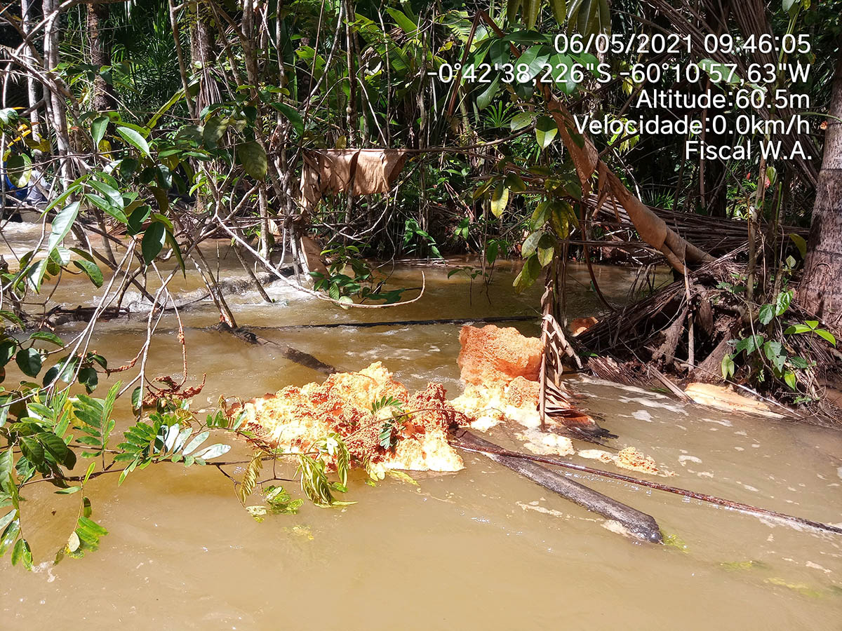 Em 2021 os kinja fizeram várias expedições pelo rio Alalaú e igarapé Tiaraju até encontrarem a origem da poluição no complexo minerário da Taboca. Além da sujeira na água, viram tartarugas e peixes boi mortos. Foto: ACWA (Associação Comunidade Waimiri Atroari)