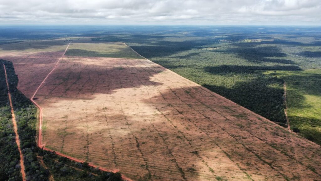 Área desmatada no entorno da TI Apinajé, em Tocantinópolis/TO (Foto: Paulo Goes/Jeriva/CTI )