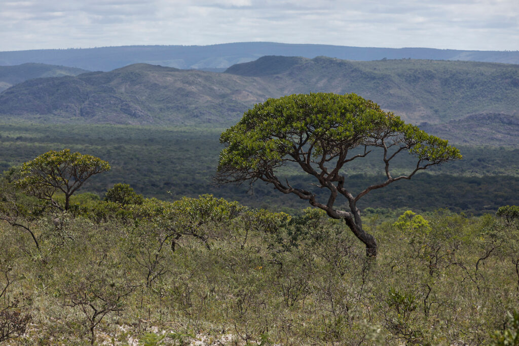Imagem panorâmica da Serra do Espinhaço: Vale sustenta que “não há, neste momento, previsão de implantação de projetos na região do Peixe Bravo” (Foto: NITRO Historias Visuais)