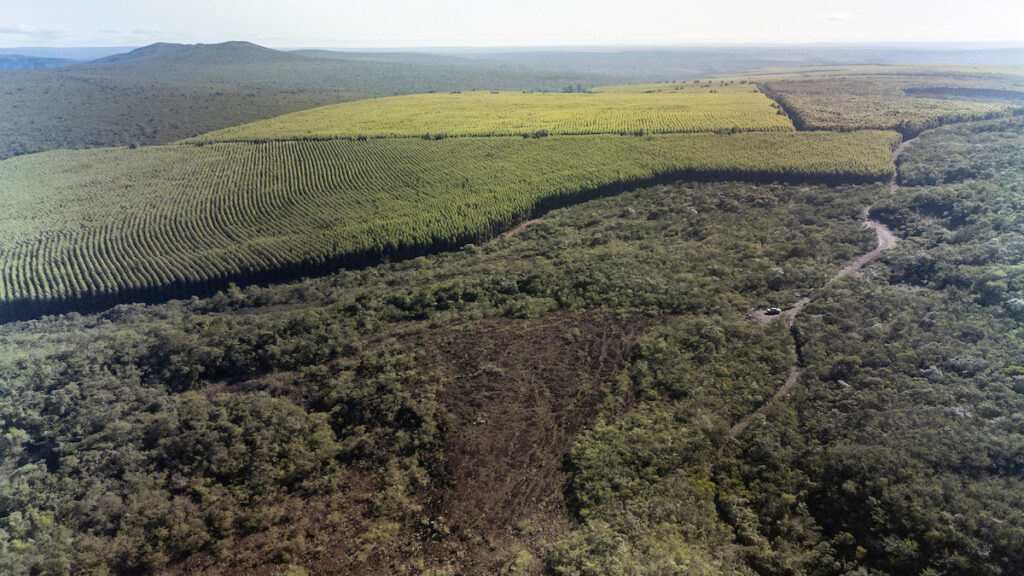 Conhecidas como cangas, as "serras ferruginosas" são formações rochosas ricas em ferro que armazenam água para nascentes e córregos da região (Foto: NITRO Historias Visuais)