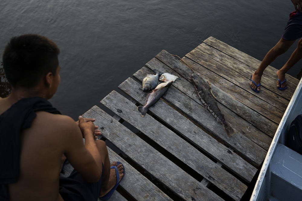 Em outubro de 2025, a Repórter Brasil foi até o igarapé Tiaraju, rio que atravessa o complexo minerário da Taboca e deságua no Alalaú, principal curso d'água da Terra Indígena Waimiri Atroari e fonte de alimento da comunidade (Foto: Fernando Martinho/Repórter Brasil)