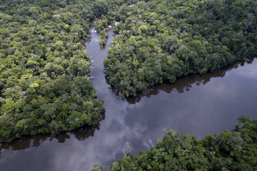 No alto, o encontro do Igarapé Tiaraju com o rio Alalaú, rios de águas escuras, em imagem de outubro de 2025; acima, imagem feita pelos indígenas no mesmo local, em abril de 2026, mostra o Tiaraju com águas barrentas alguns metros antes do encontro com o rio Alalaú (Fotos: Fernando Martinho/Repórter Brasil/Out.2025 - Reprodução/ACWA/07.04.26)