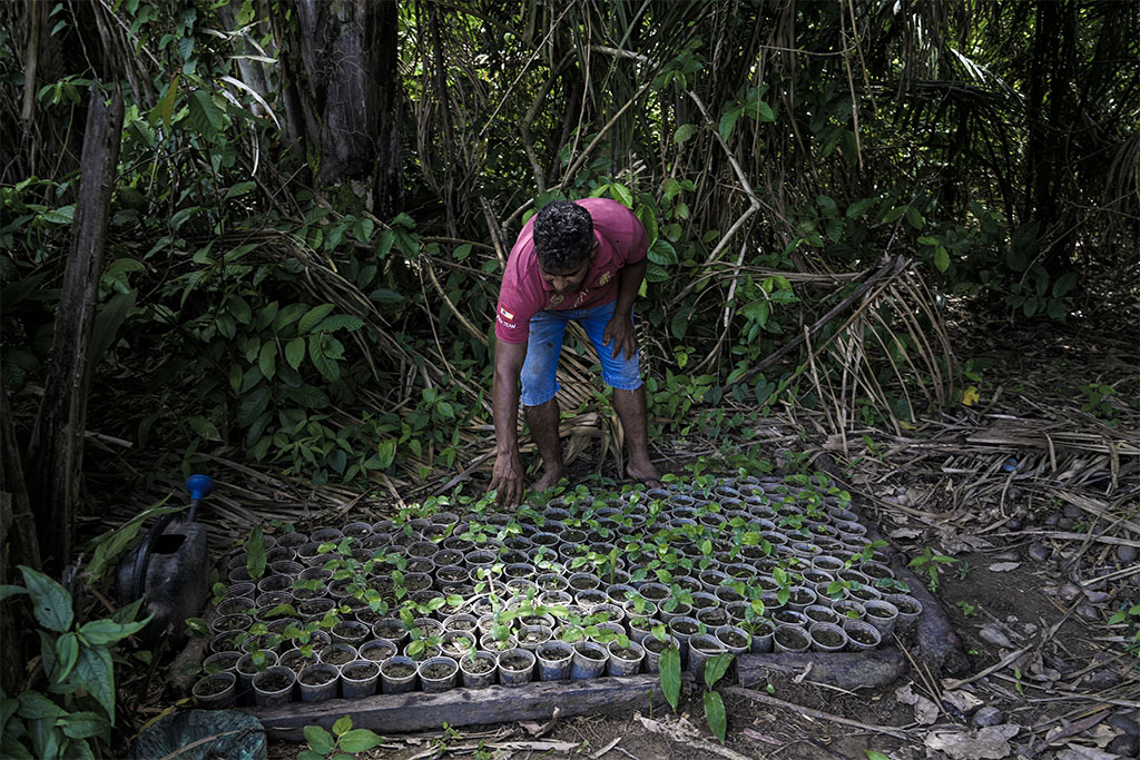 Famílias que abastecem feiras de Marabá temem despejo de terra onde vivem há 20 anos
