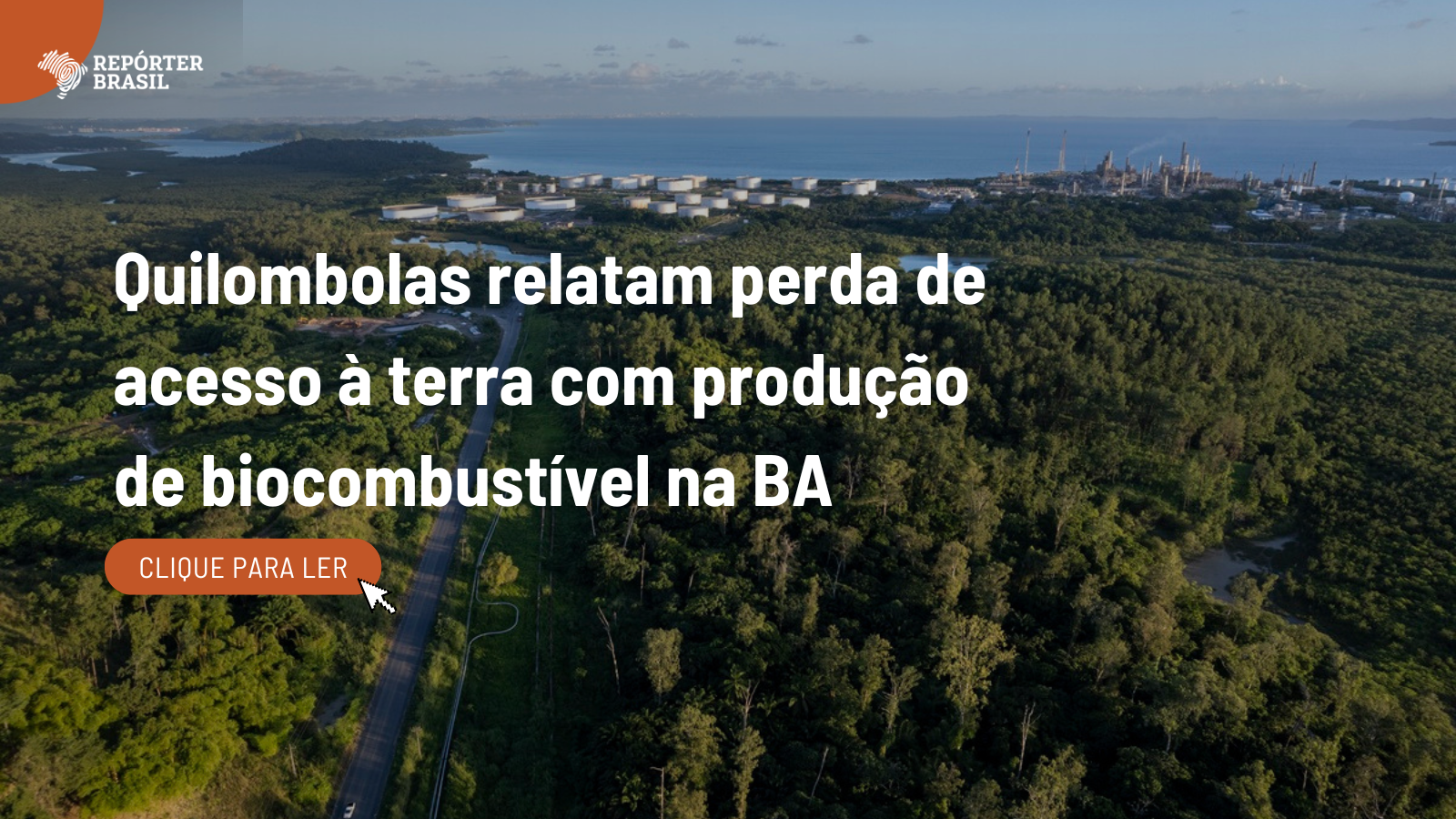 Quilombolas criticam produção de combustível ‘verde’ de macaúba