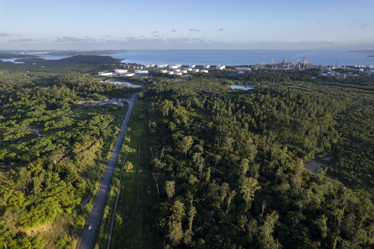 Uma área de 36,43 hectares de mata atlântica será derrubada para instalar a nova biorrefinaria que vai processar macaúba para a produção de SAF. A área prevista fica à direita da rodovia. Ao fundo é possível ver a Refinaria de Mataripe administrada pela Acelen e instalada em São Francisco do Conde (BA), na Baía de Todos os Santos (Foto: Fernando Martinho/Repórter Brasil)