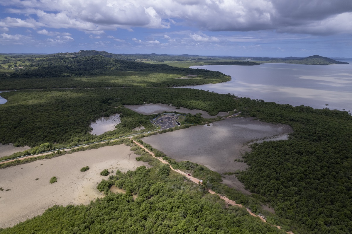 Mangue que circunda áreas de operação da Refinaria de Mataripe de petróleo administrada pela Acelen em São Francisco do Conde (BA). As faixas de areia sem vegetação teriam se deteriorado após vazamentos de petróleo da usina, segundo moradores. Eles dizem que mesmo após tentativa de reflorestamento, a região não se recuperou (Foto: Fernando Martinho/Repórter Brasil)