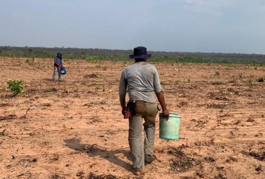 Os trabalhadores resgatados faziam a limpeza do solo para o plantio; alguns deles não recebiam botas e trabalhavam de chinelo (Foto: Reprodução/MTE)