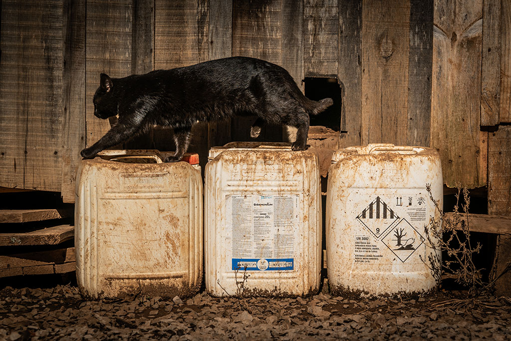 Tunas - Rio Grande do Sul - Brasil. Paulo Rozelio Krug, agricultor. Caso de intoxicação por Reglone (Diquat). Desenvolveu um quadro de intolerância ao uso de agrotóxicos. Foto©Marcelo Curia