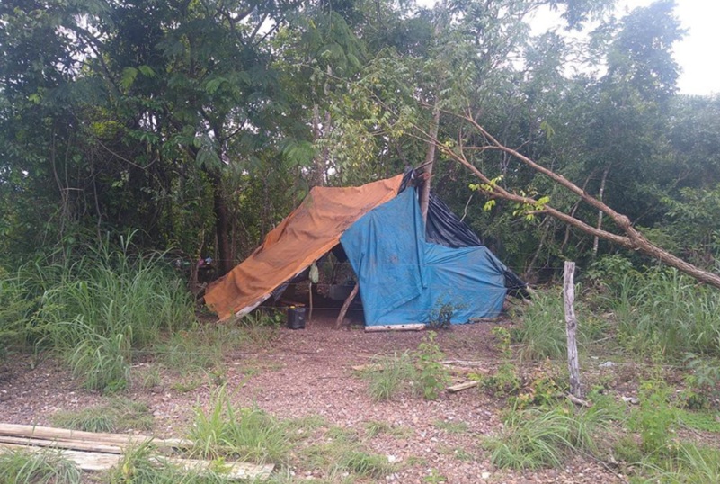 Trabalhadores resgatados no corte de lenha viviam em barracos e não dispunham de locais adequados para fazer refeições, entre outras violações (Foto: Divulgação/AFT-MTE)
