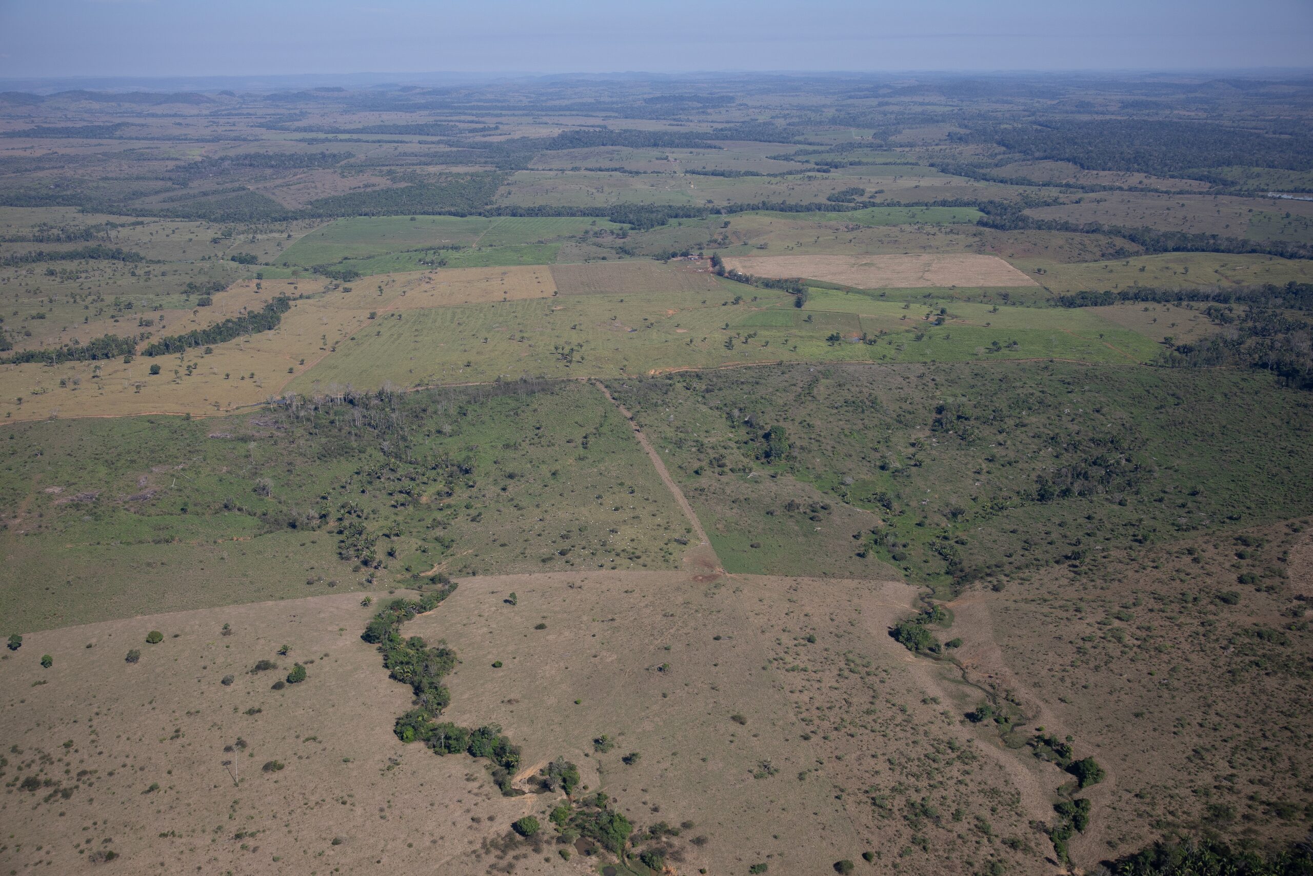 O sobrevoo também registrou imagens da PLG da Coomari. Ali, não há indícios de mineração (Fotos: Bruno Kelly/Greenpeace)