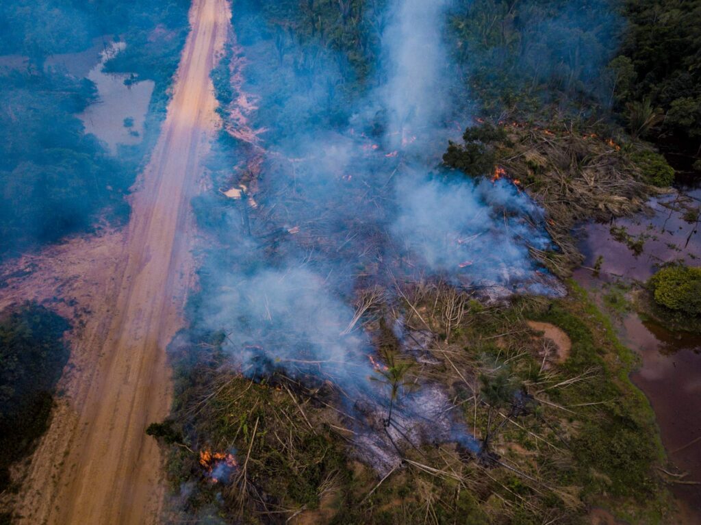 Burned area along the Trans-Amazonian Highway in the Brazilian Amazon. “Super El Niño” is likely to reduce rainfall and raise temperatures in the North and Northeast regions, exacerbating extreme drought conditions and leading to an increase in wildfires (Photo: Fernando Martinho/Repórter Brasil)