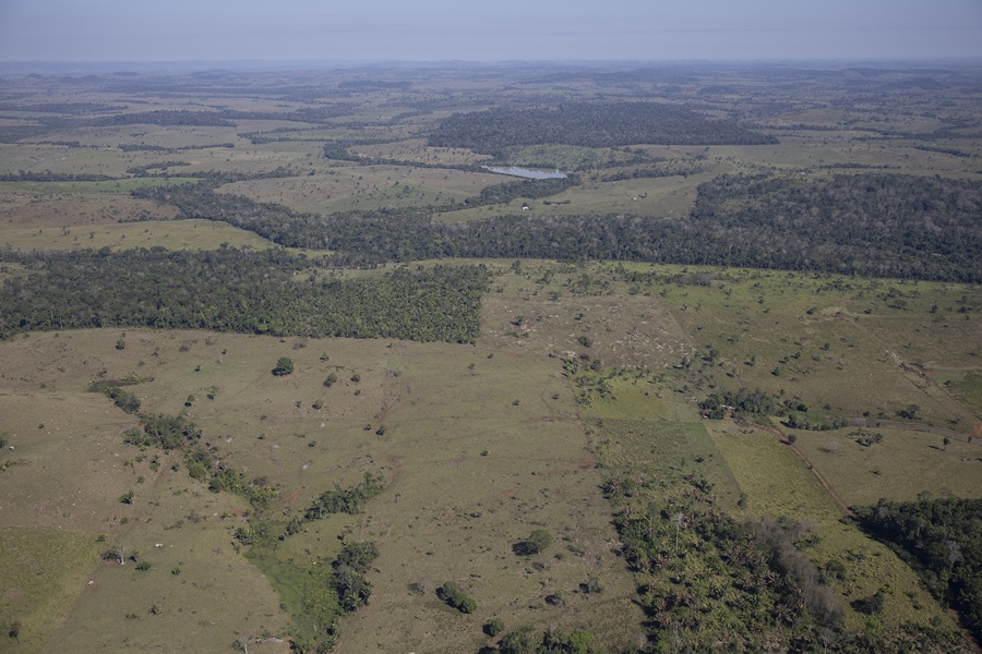 Sobrevoo sobre área da PLG não encontrou indícios de mineração compatíveis com as milhares de toneladas declaradas pela cooperativa (Fotos: Bruno Kelly/Greenpeace)
