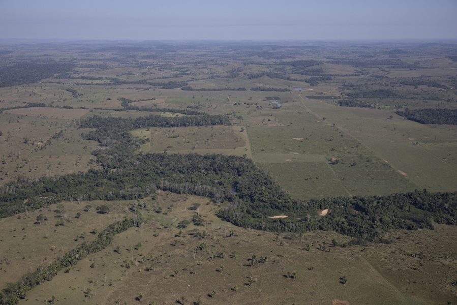 Sobrevoo sobre área da PLG não encontrou indícios de mineração compatíveis com as milhares de toneladas declaradas pela cooperativa (Fotos: Bruno Kelly/Greenpeace)