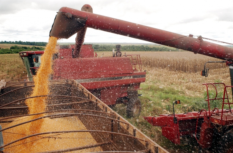 Produtor de soja do Piauí autuado pelo Ibama negociou sua produção com multinacionais do agronegócio (Foto: arquivo/Agência Brasil)