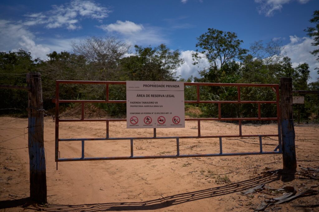 O território tradicionalmente usado por comunidades de fundo e fecho de pasto para a soltura de animais foi cercado por fazendas, como a Tabuleiro VII. A área serve como reserva legal de propriedades que integram os complexos Tabuleiro I e II, adquiridos por fundos de investimento em 2023 (Foto: Mariana Greif/Repórter Brasil)