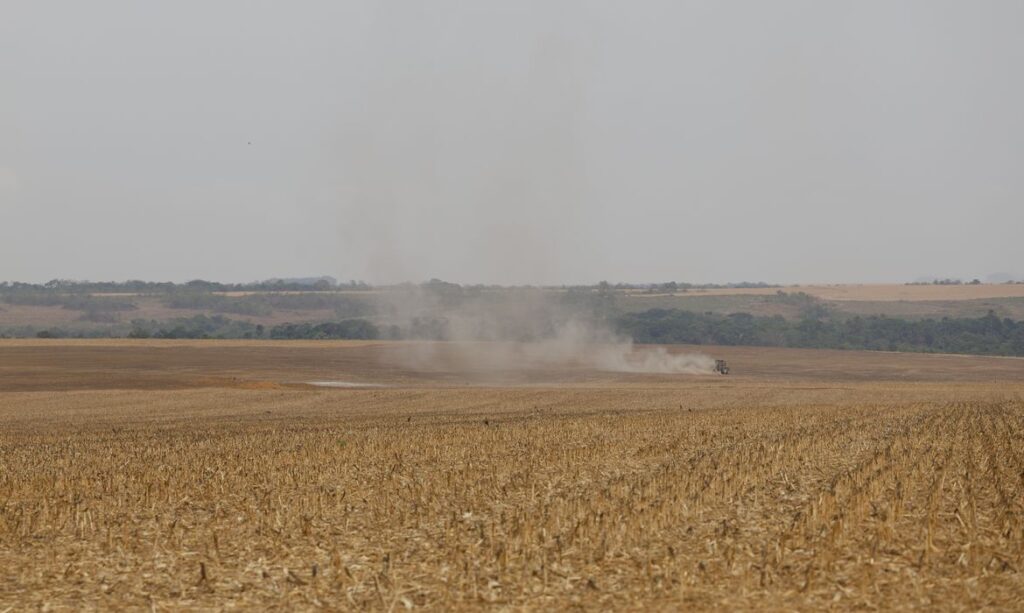 Nine months after a soybean producer was cited for illegal deforestation, Banco do Brasil approved a R$ 3 million funding for soybean cultivation on the property (Photo: Fernando Frazão/Agência Brasil)