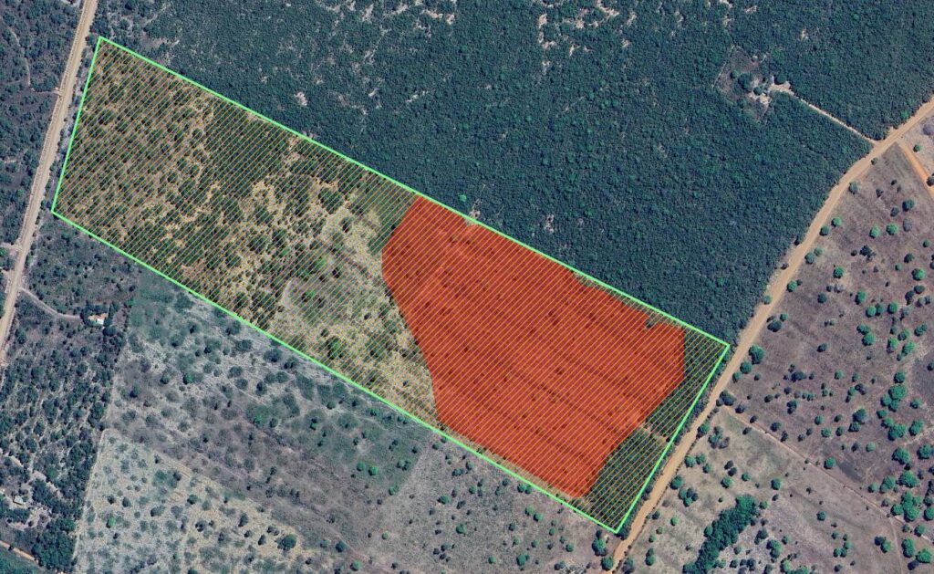 Fazenda Sete Corações (em verde) obteve financiamento junto ao Banco do Brasil mesmo com área embargada (listras vermelhas) pelo órgão ambiental do Mato Grosso em 2022 (Fonte: Sicar, Sema-MT, Sicor/Mapbiomas)