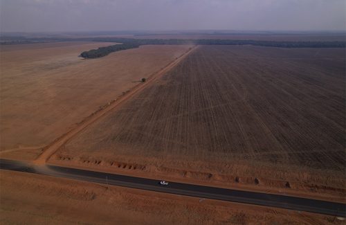 Itanhangá, Mato Grosso, Brasil 13-09-2023 Vista aérea de grandes áreas usadas para plantio de grãos no assentamento onde está o Acampamento Nova Aliança. Série de reportagens do projeto Pulitzer Center sobre violência no campo. Percorremos assenta Soja a perder de vista: área destinada para reforma agrária em Itanhangá, norte de Mato Grosso, foi invadida por produtores de grãos nos últimos 30 anos (Foto: Fernando Martinho/Repórter Brasil)