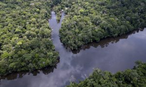 No alto, o encontro do Igarapé Tiaraju com o rio Alalaú, rios de águas escuras, em imagem de outubro de 2025; acima, imagem feita pelos indígenas no mesmo local, em abril de 2026, mostra o Tiaraju com águas barrentas alguns metros antes do encontro com o rio Alalaú (Fotos: Fernando Martinho/Repórter Brasil/Out.2025 - Reprodução/ACWA/07.04.26)